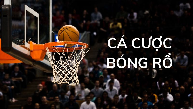 Cá cược bóng rổ Debet – Lựa chọn số 1 cho người đam mê thể thao